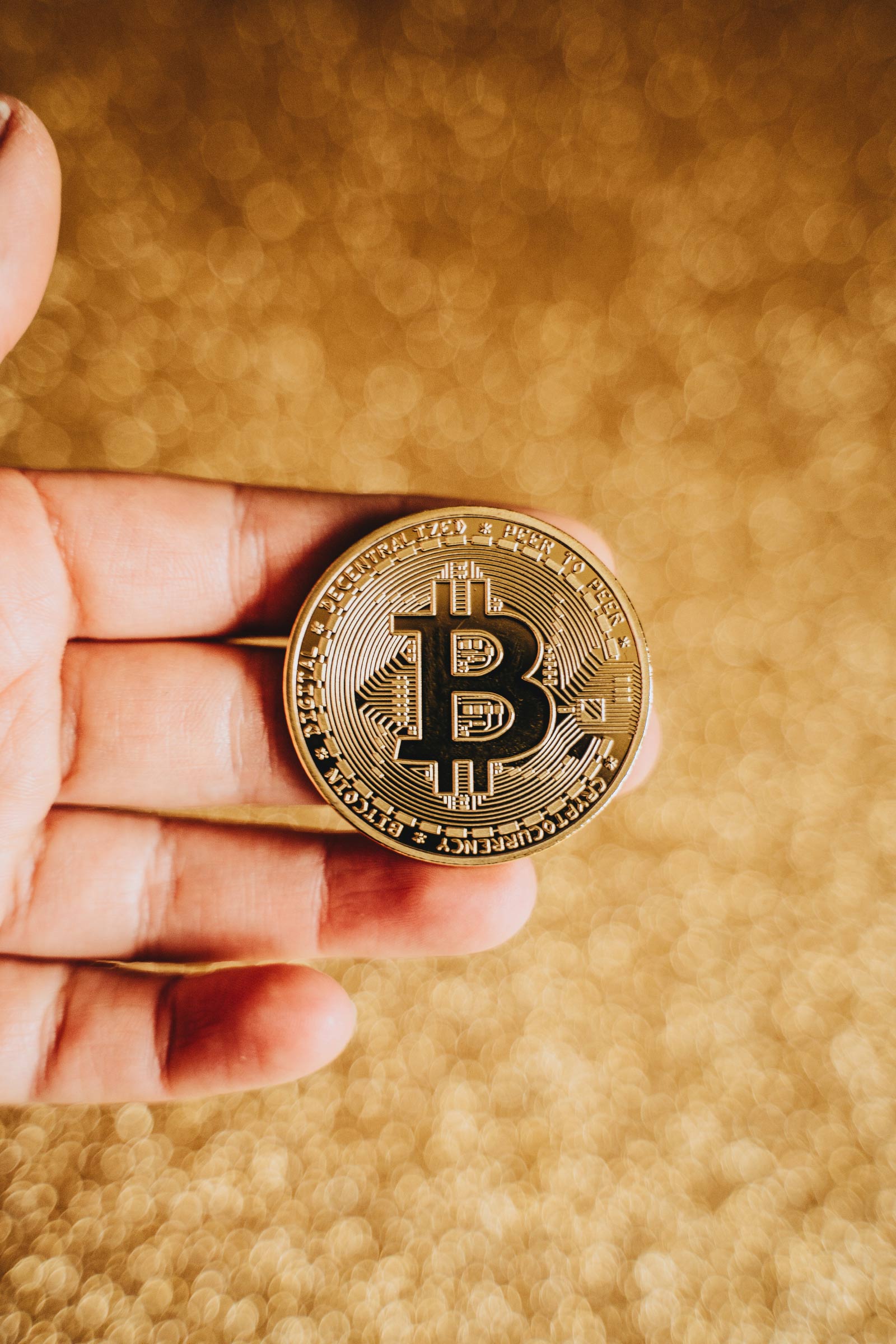 elcv022 Karagözler Marina ve Yatçılık